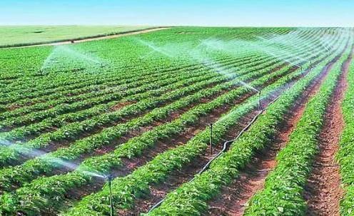 日本操逼出水视频农田高 效节水灌溉